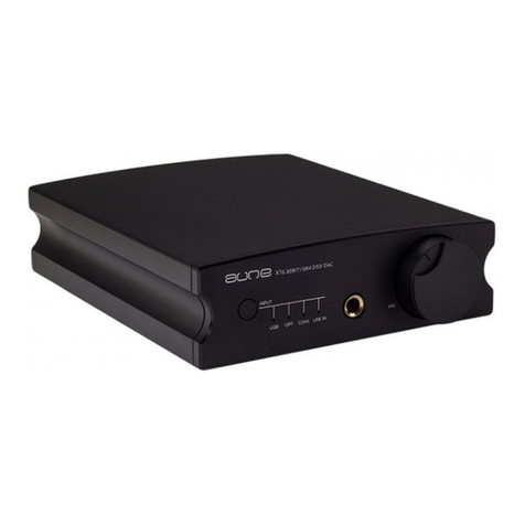 AUNE X1S manual