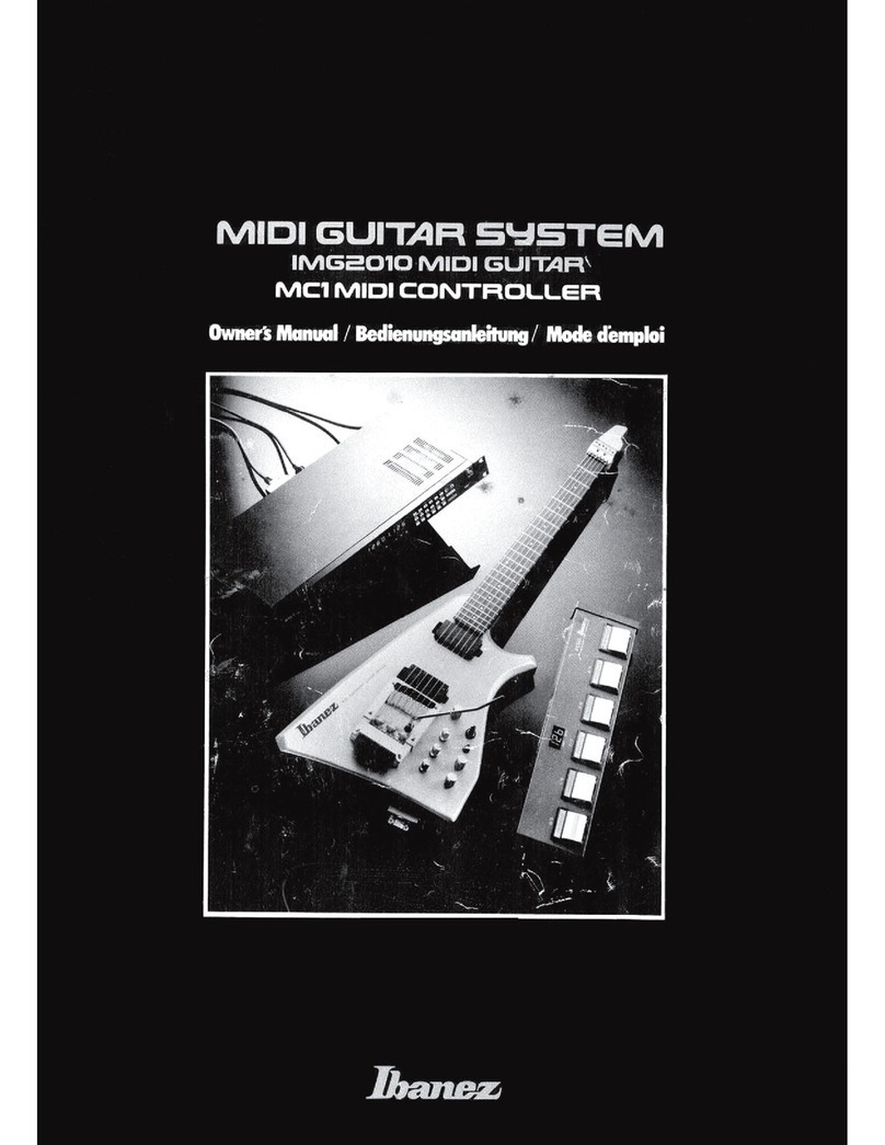 Ibanez IMG2010 User manual