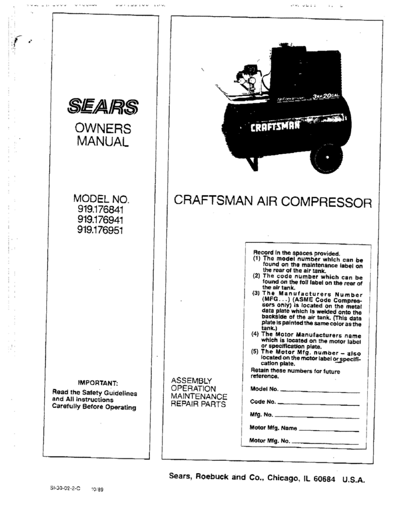 Craftsman 919.176841 User manual Craftsman 919.176841 User manual