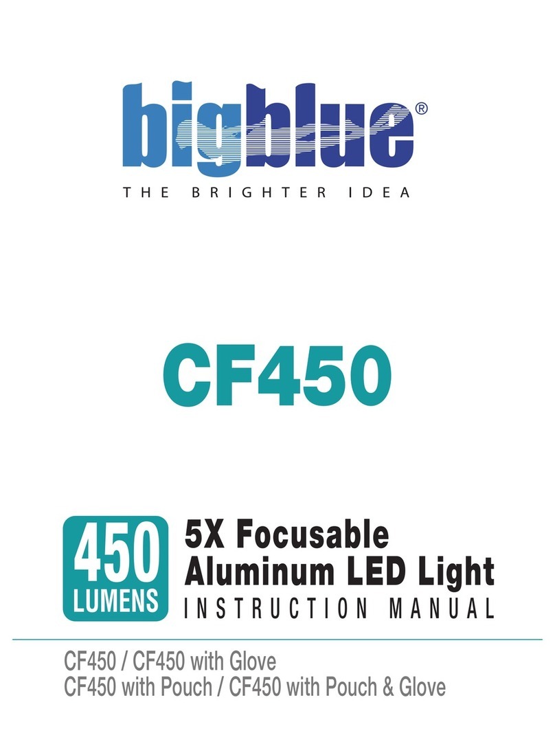 BigBlue CF450 User manual