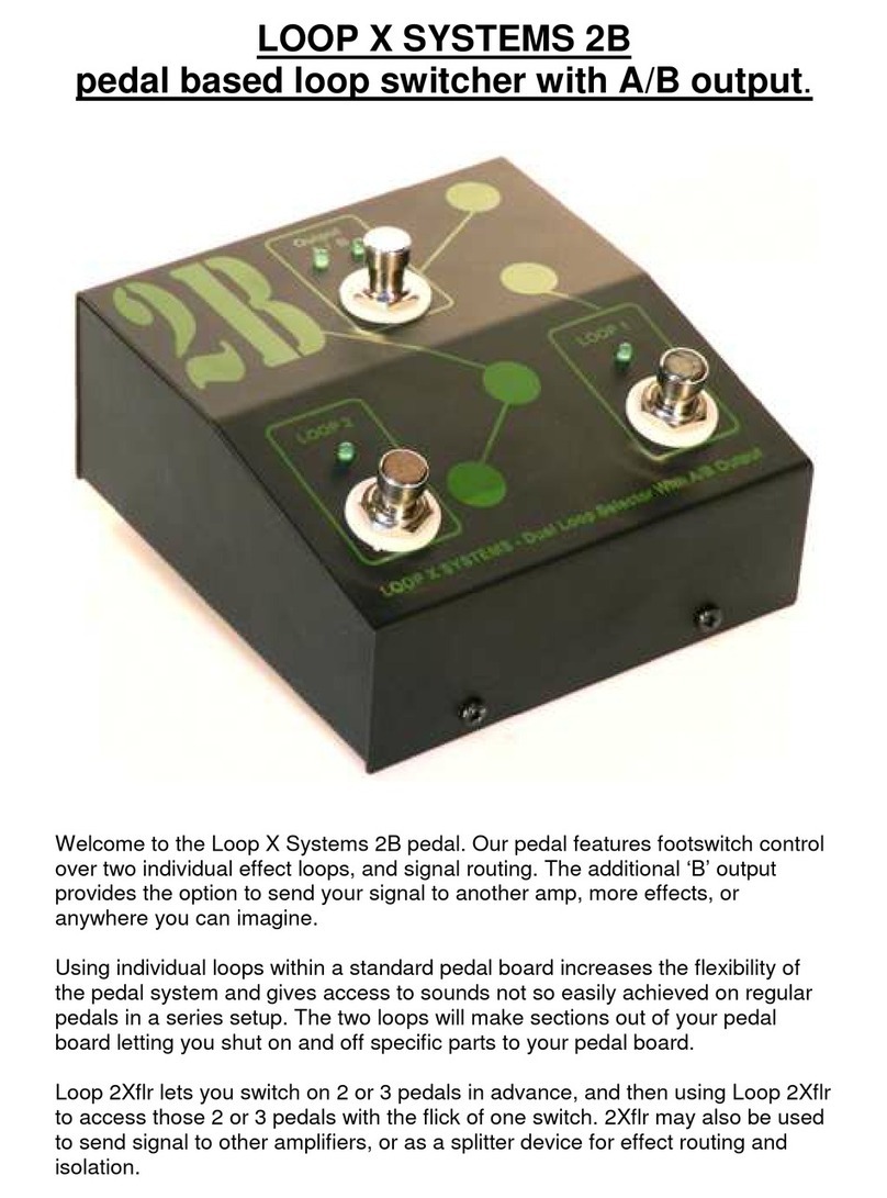 Loop X Systems 2B manual