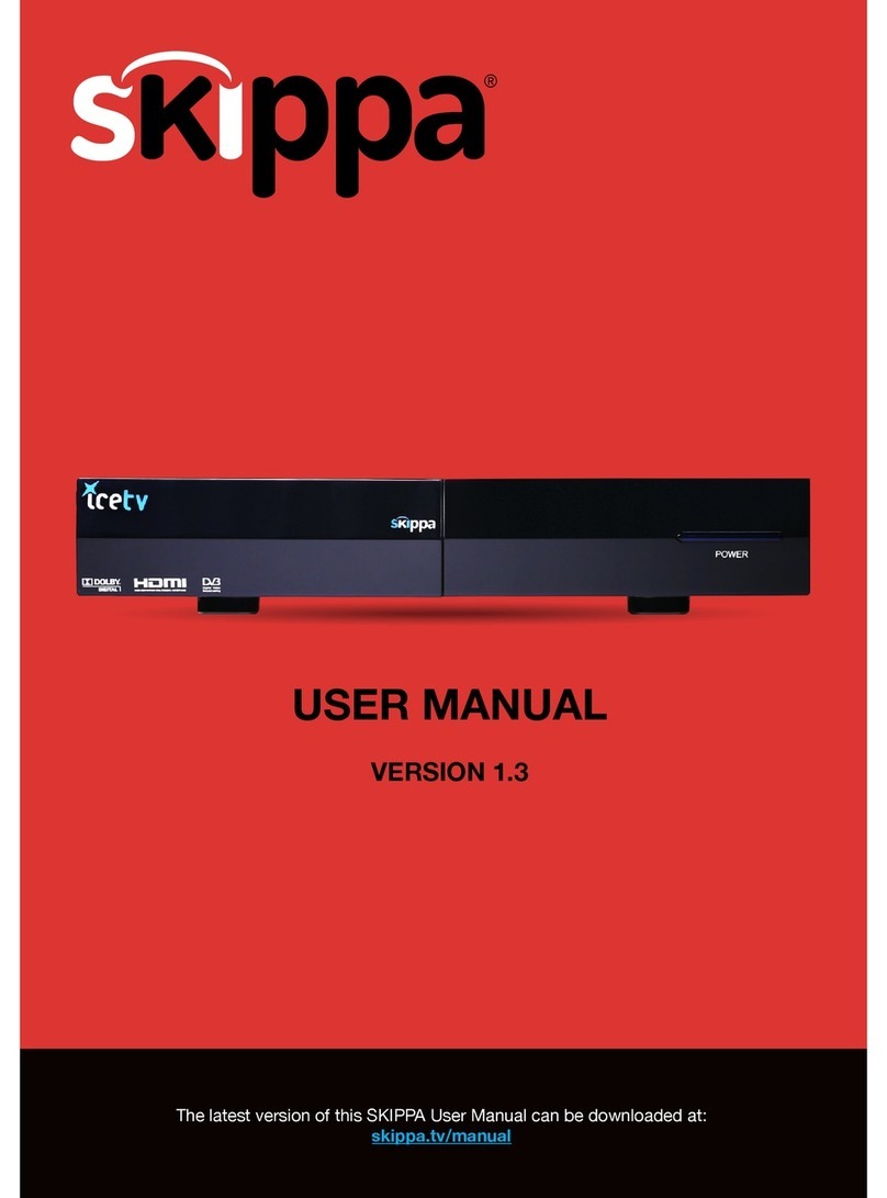 Skippa IceTV user manual
