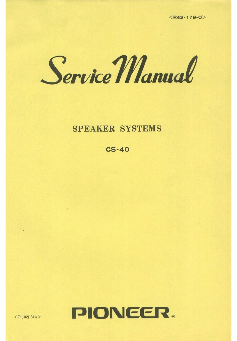 Pioneer CS-40 User manual