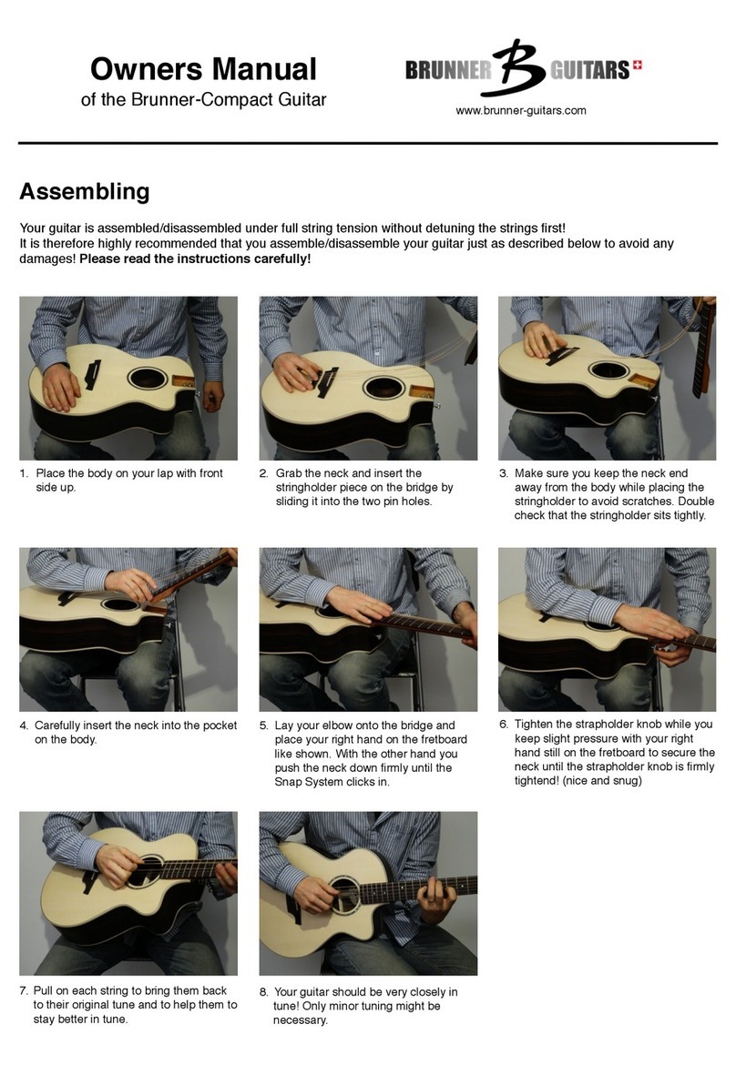 Brunner-guitars B-Compact owner's manual