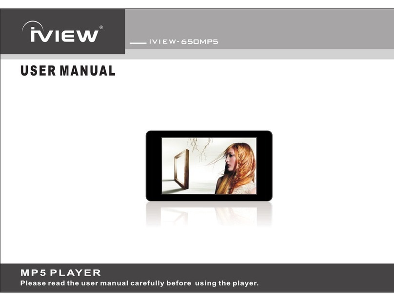 I-View 650MP5 user manual