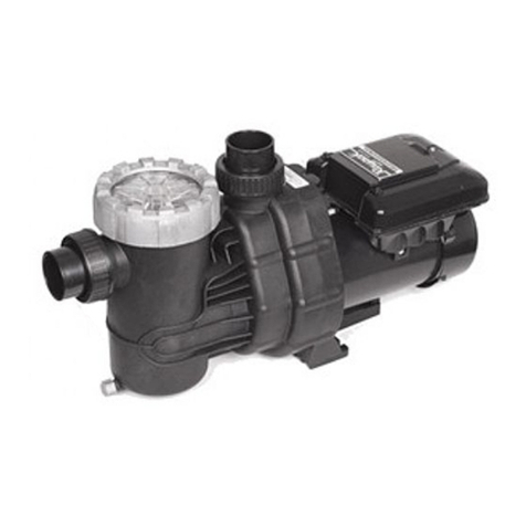 Raypak PS165VSP Installation, operating and service manual