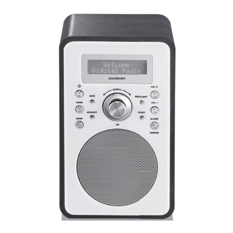 Sandstorm S6VDAB12 instruction manual