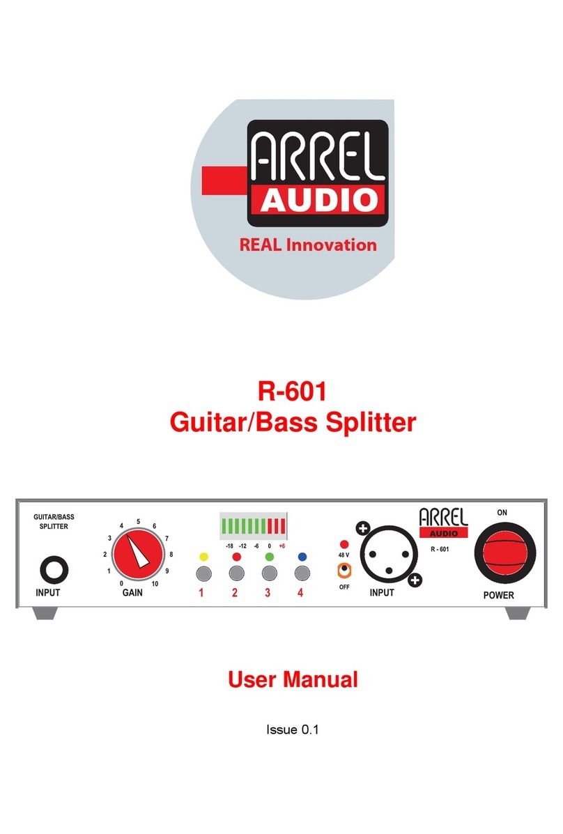 Arrel Audio R-601 user manual