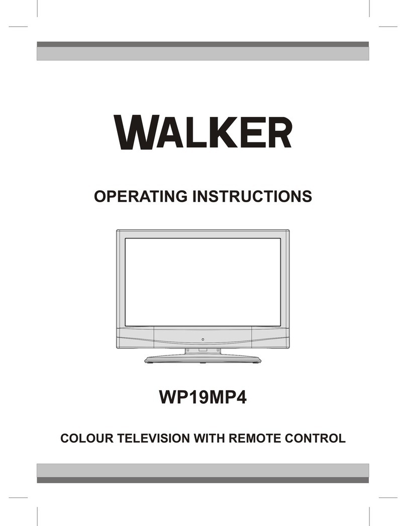 Walker WP19MP4 User manual
