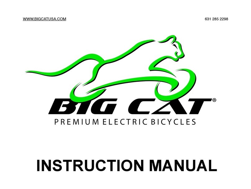 Big cat Long Beach Cruiser instruction manual