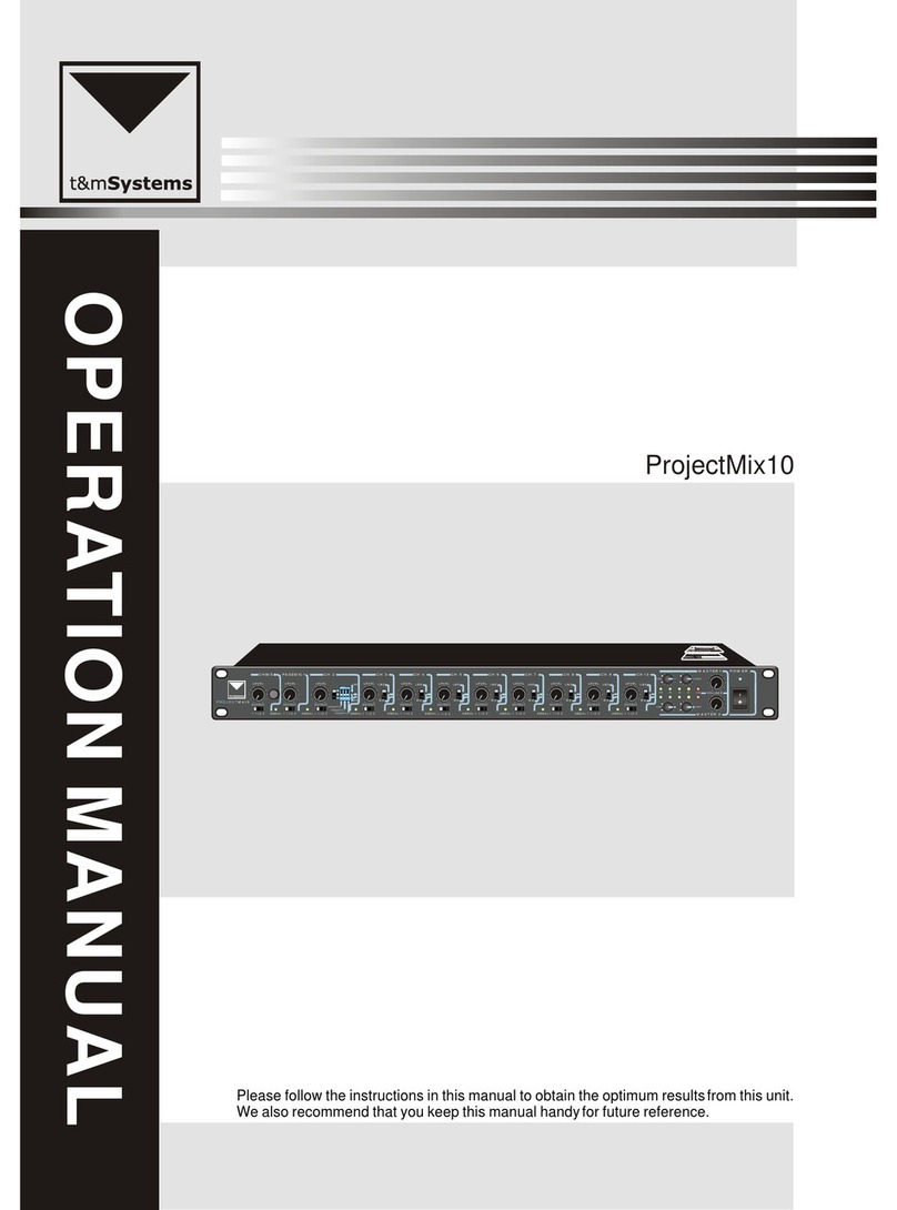 T&M Performance ProjectMix10 User manual