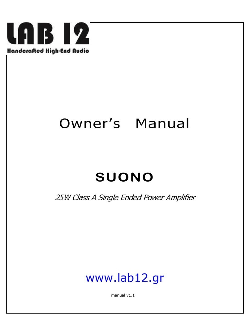 lab12 SUONO 25W User manual