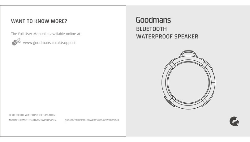 Goodmans GDWPBTSPKG User manual