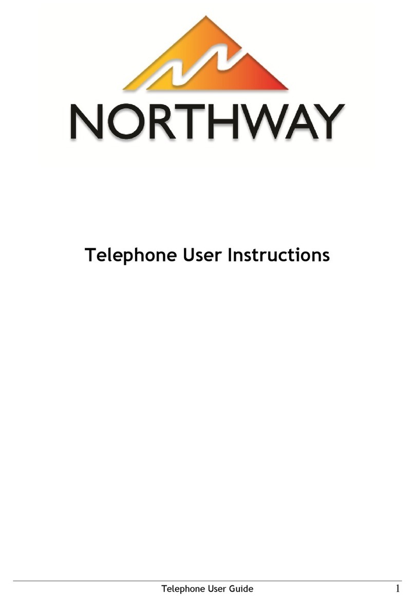 Northway Aastra 53i User manual