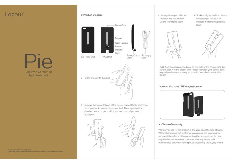 lepow Pie Maintenance Guide