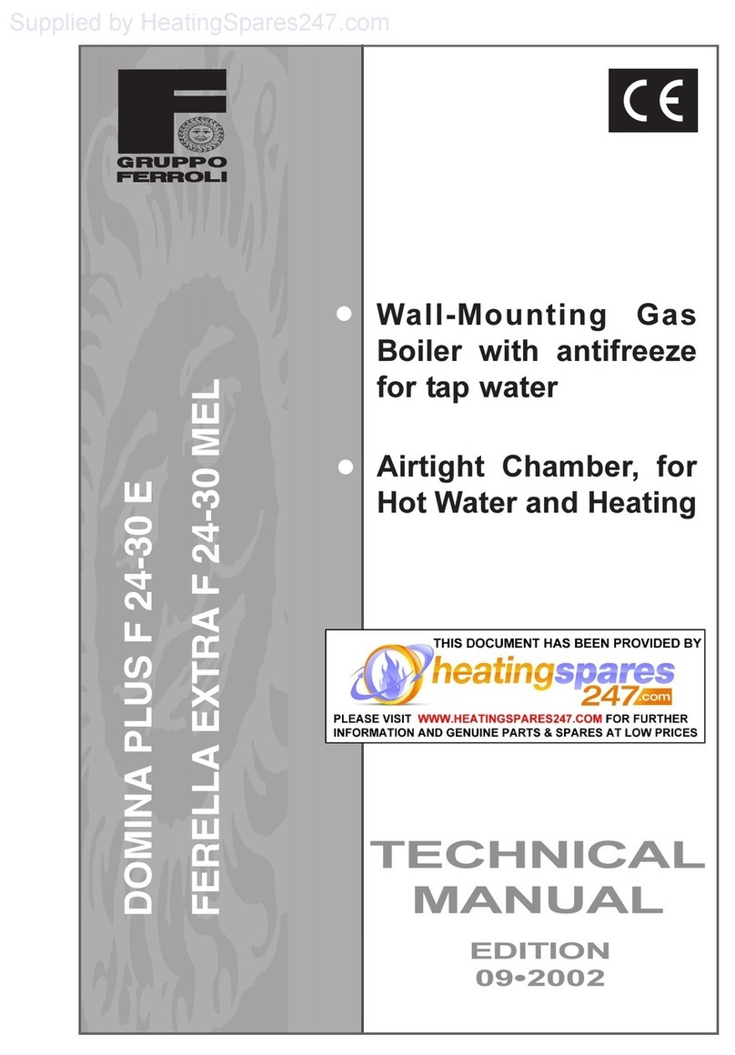 Groppo Ferroli Domina Plus F 24-30 E Technical manual