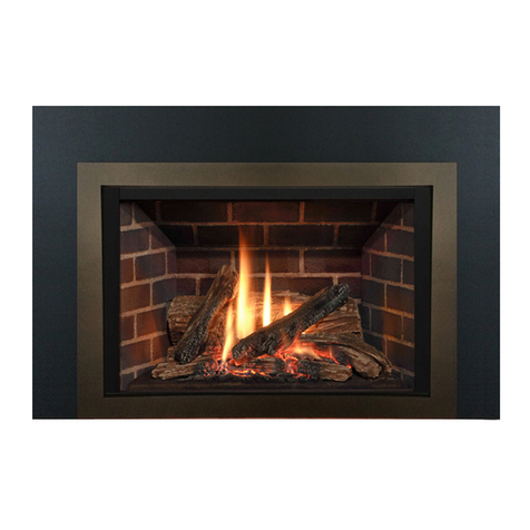 Valor LEGEND G4 780IN (NG) Manual