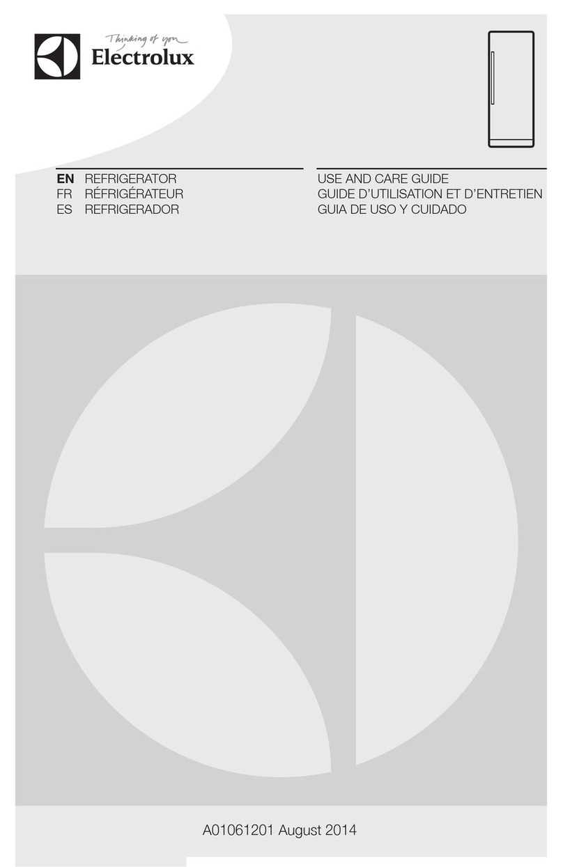Electrolux A01061201 User manual