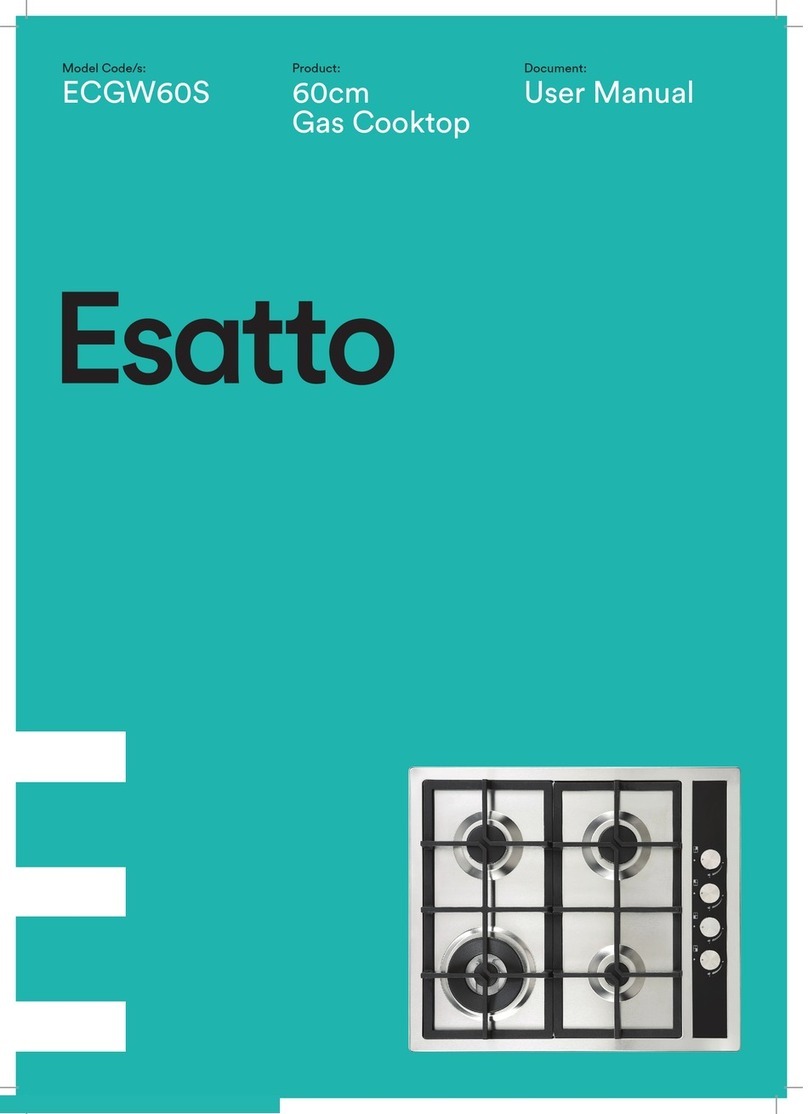 Esatto ECGW60S User manual