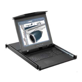 CyberView D117 User manual