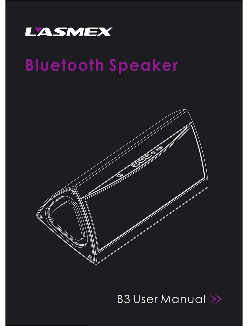 lasmex B3 User manual