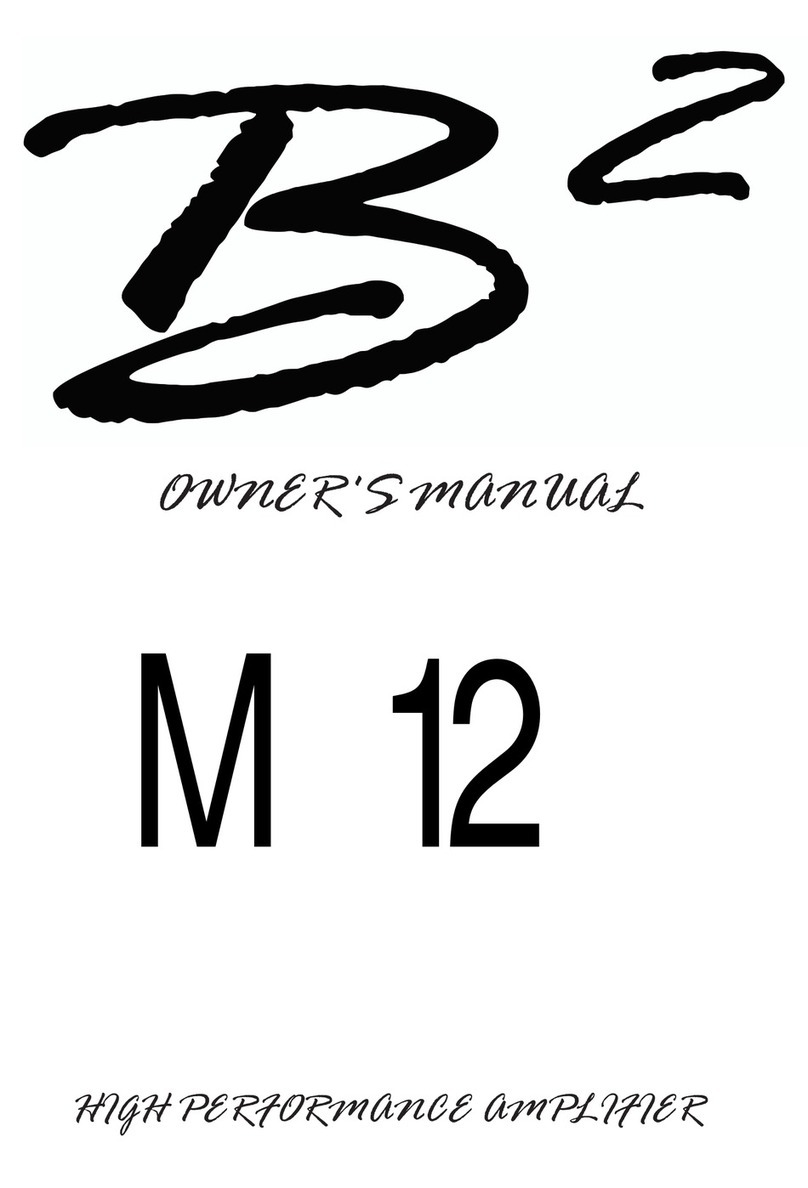 B2 Audio M 12 owner's manual
