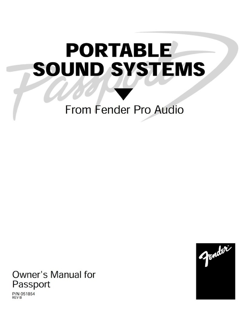Fender PASSPORT owner's manual