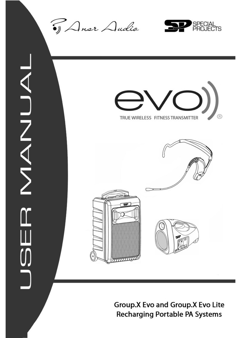 Ansr Audio Group.X Evo user guide