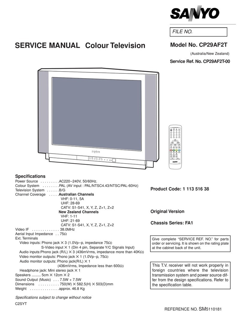 Sanyo CP29AF2T User manual