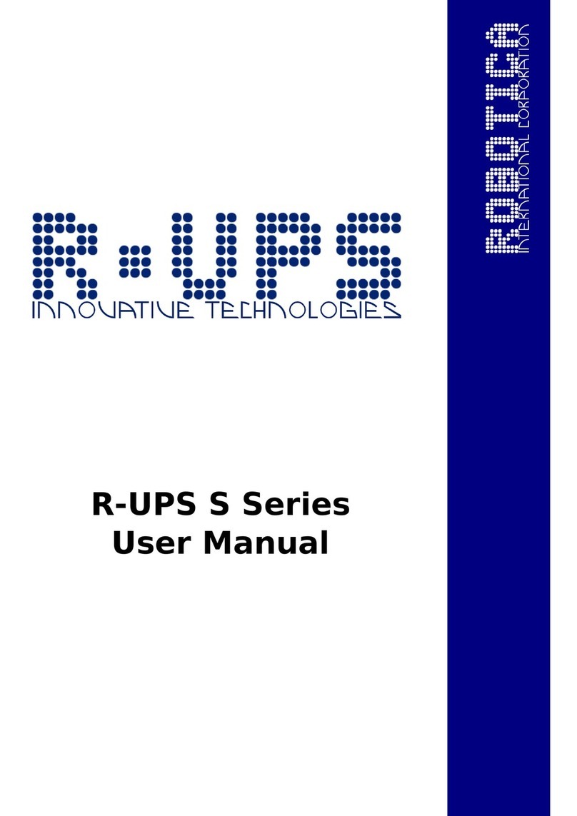 R-UPS S series user manual