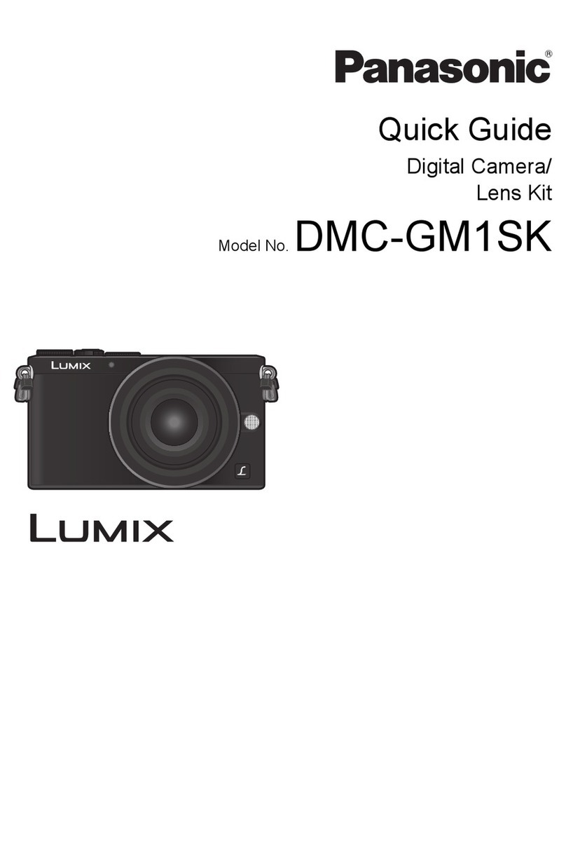 Panasonic Lumix DMC-GM1SK User manual