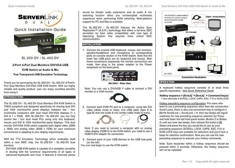 serverLink SL-202-DV Quick installation guide