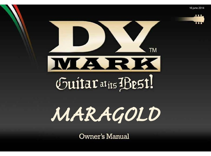 Maragold DV Mark owner's manual