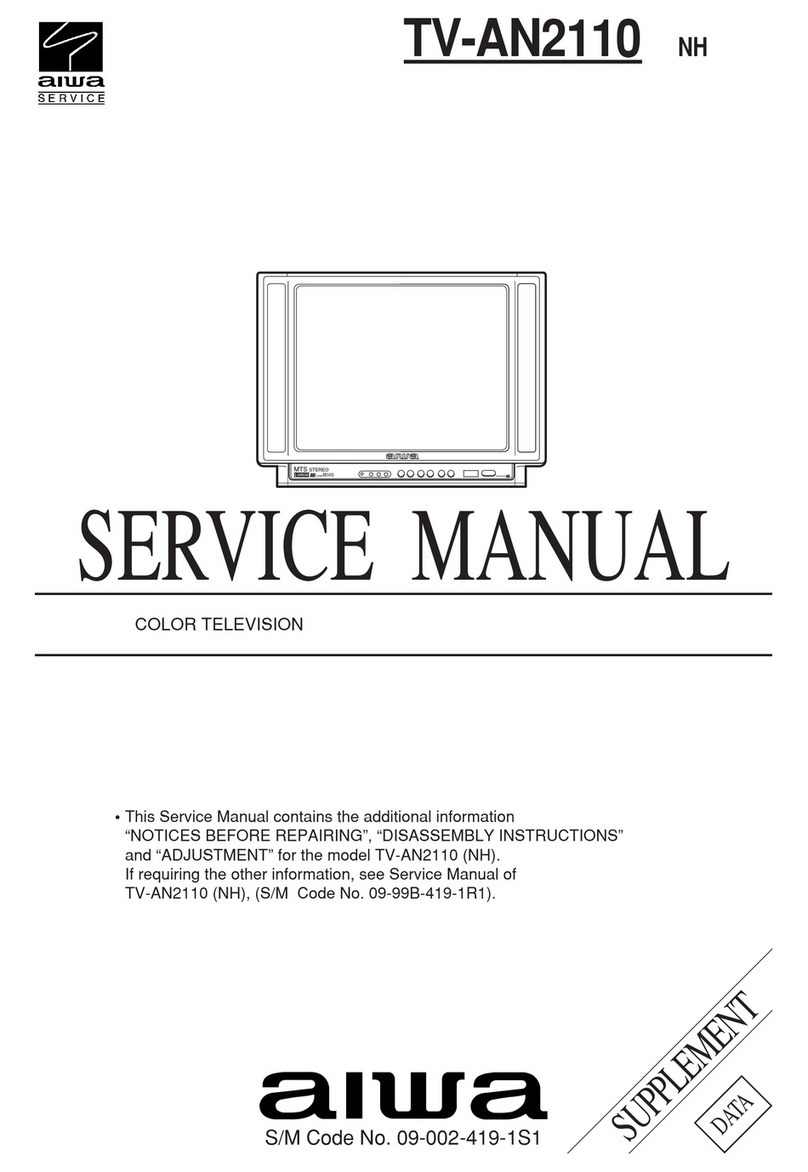 Aiwa TV-AN2110 User manual