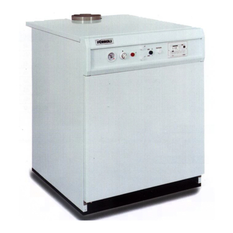 Ferroli Pegasus F3 119 Installation and maintenance instructions
