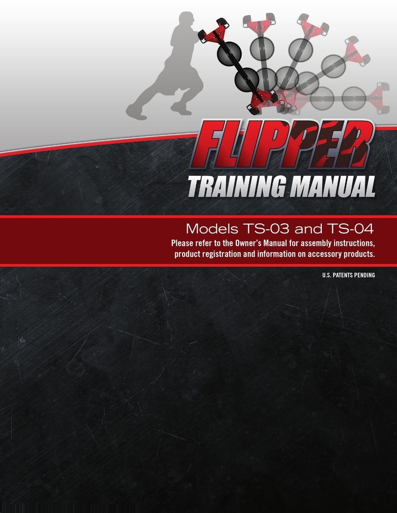 Flipper TS-03 Training manual
