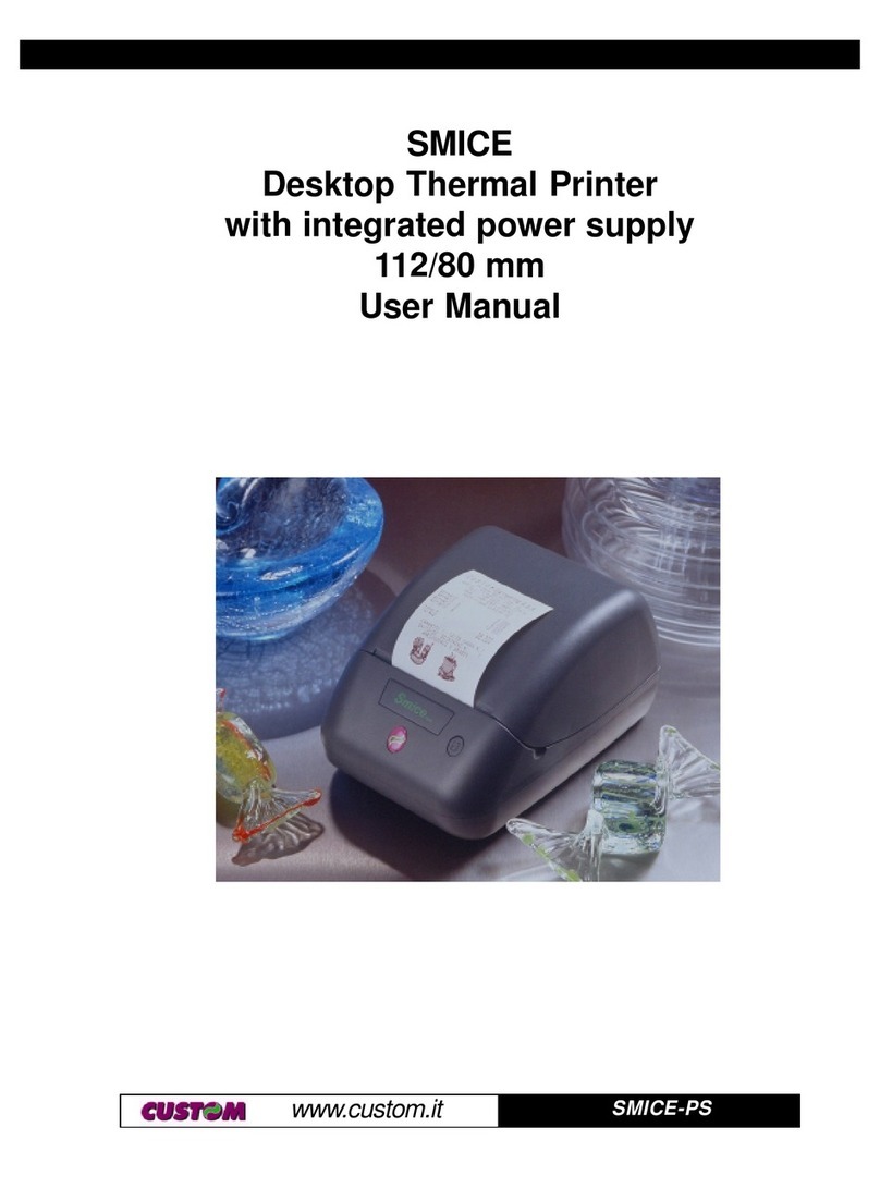 Custom Audio Electronics SMICE-PS User manual