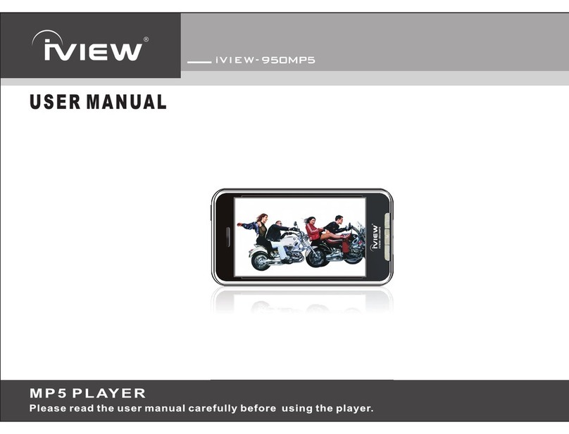 I-View 950MP5 user manual