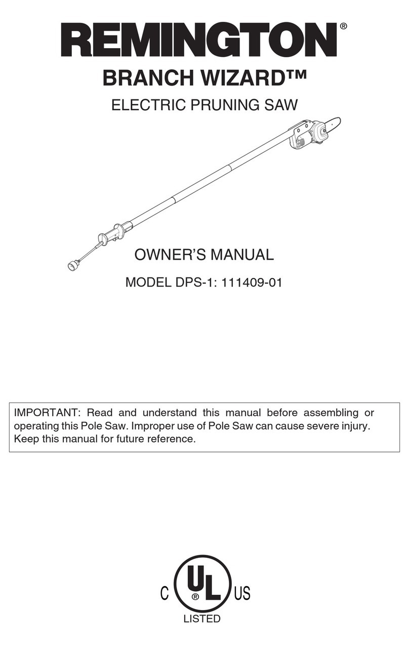 Remington DPS-1:111409-01 Branch Wizard User manual