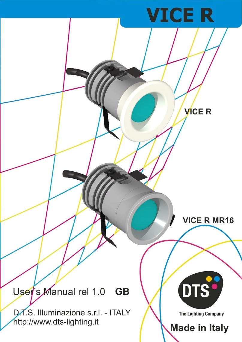 DTS VICE R user manual