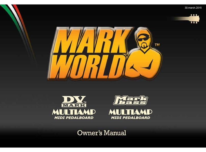 Mark World DV Mark owner's manual