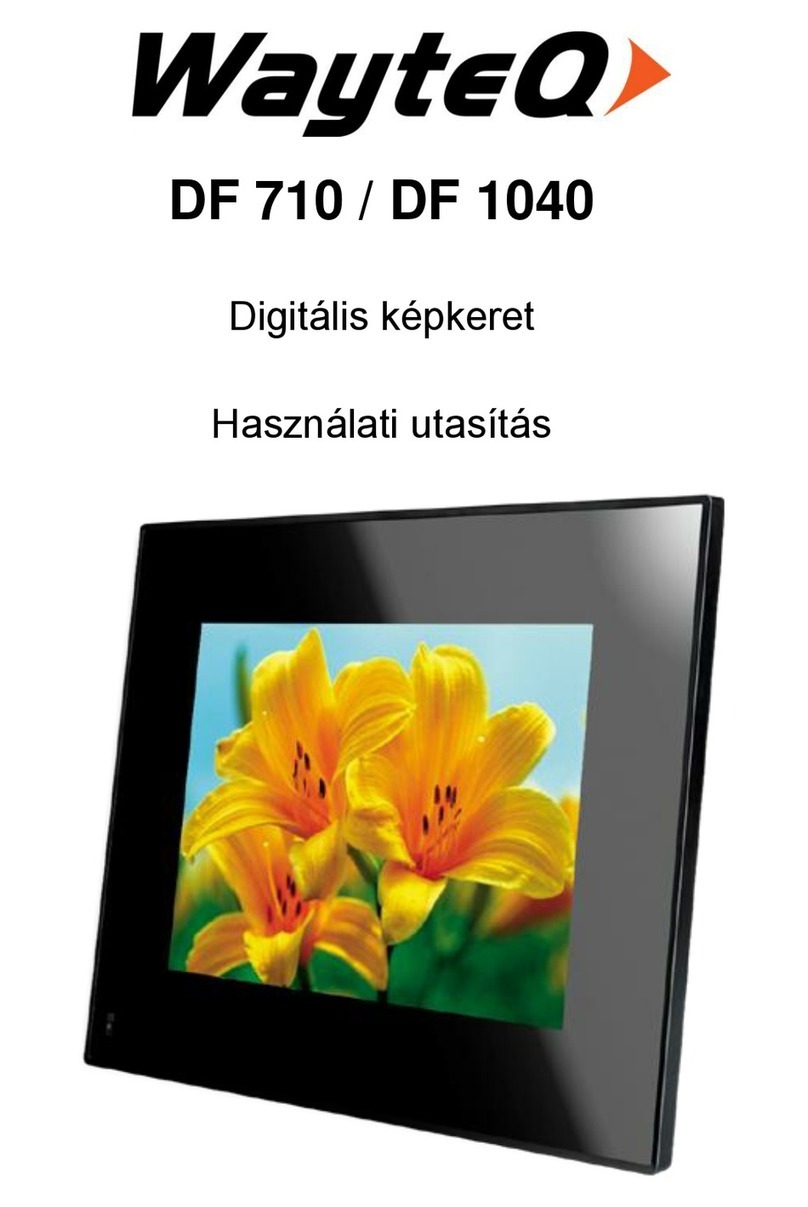 WayteQ DF 710 user manual