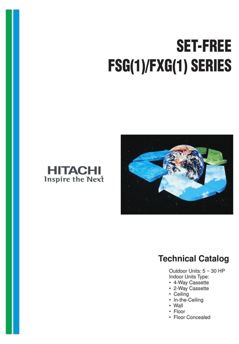 Hitachi FSG1 Series User manual