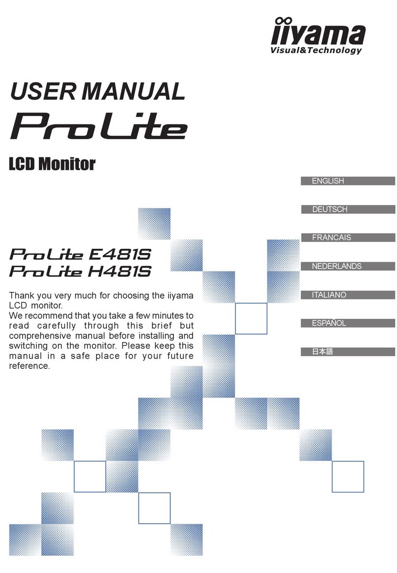 Iiyama ProLite E481S User manual