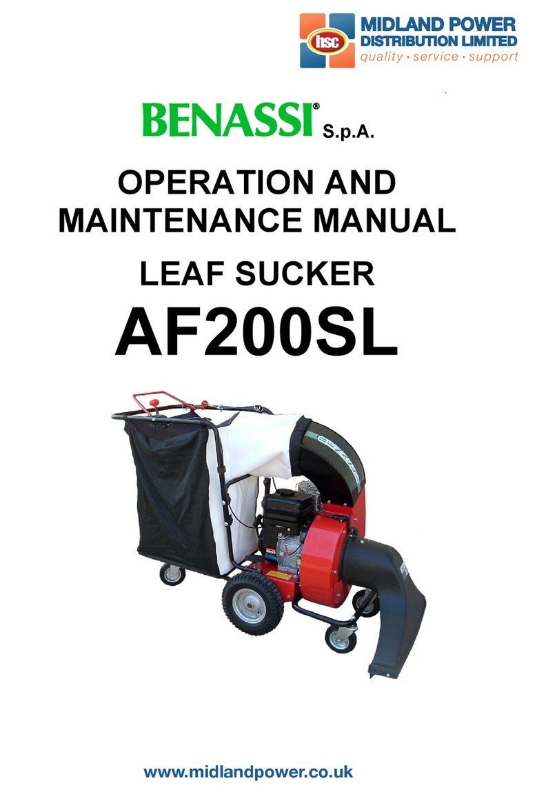 Benassi AF200SL User manual