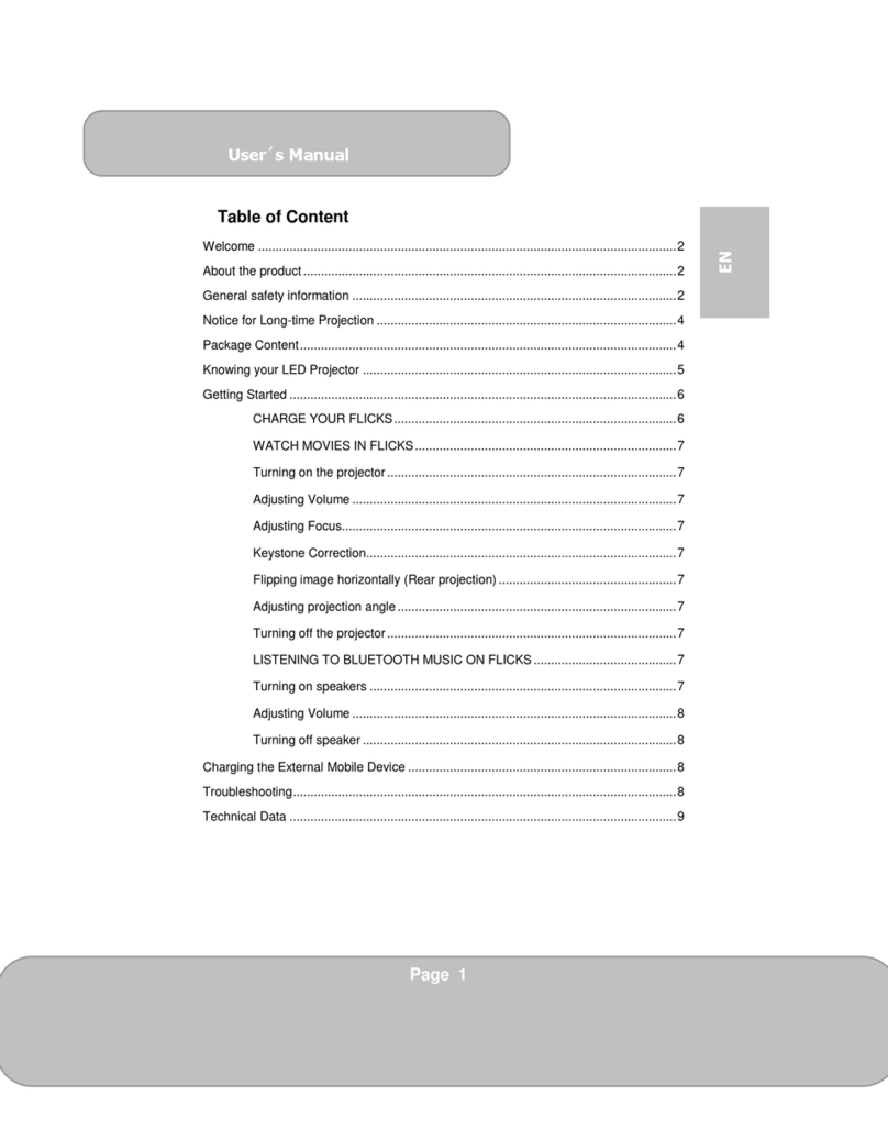 Dashbon Flicks user manual