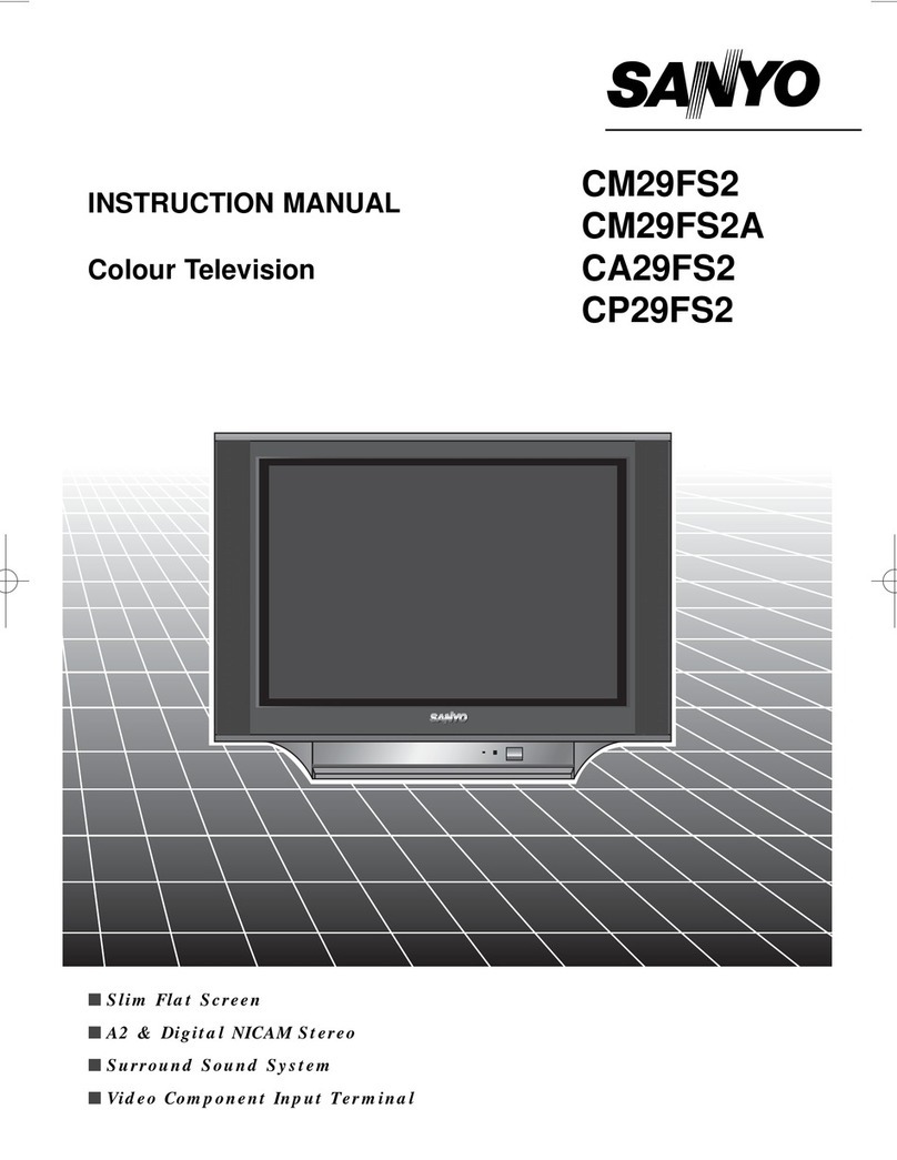 Sanyo CM29FS2 User manual Sanyo CM29FS2 User manual