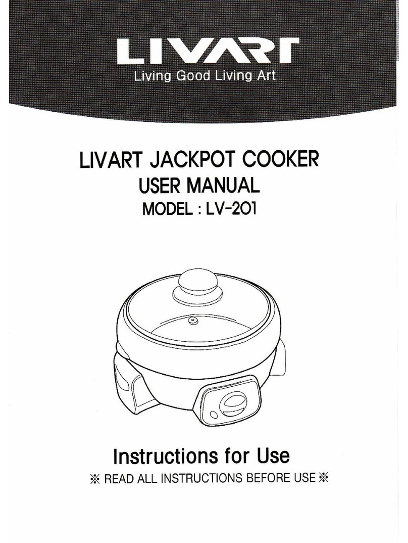 Livart LV-201 user manual