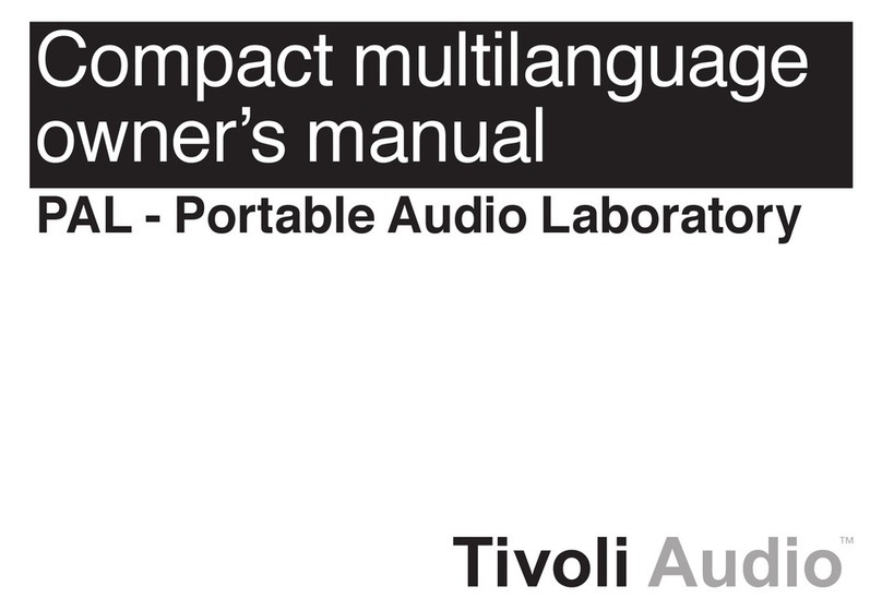 Tivoli Audio PAL + owner's manual