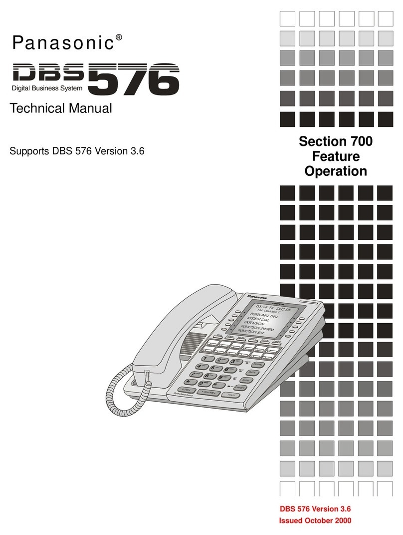 Panasonic DBS 576 Section 300 User manual